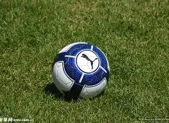 吉翔张稀哲,助力,国足东亚杯,BBIN,BBIN官网,BBIN平台,宝盈集团,BBIN集团