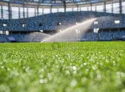 宝盈,资讯,Bbin宝盈,BBIN,BBIN官网,BBIN平台,宝盈集团,BBIN集团